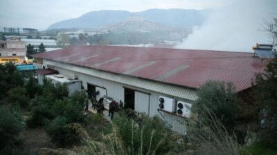 Antalya'nın Alanya ilçesinde mobilya ve beyaz eşya deposunda çıkan, muz
