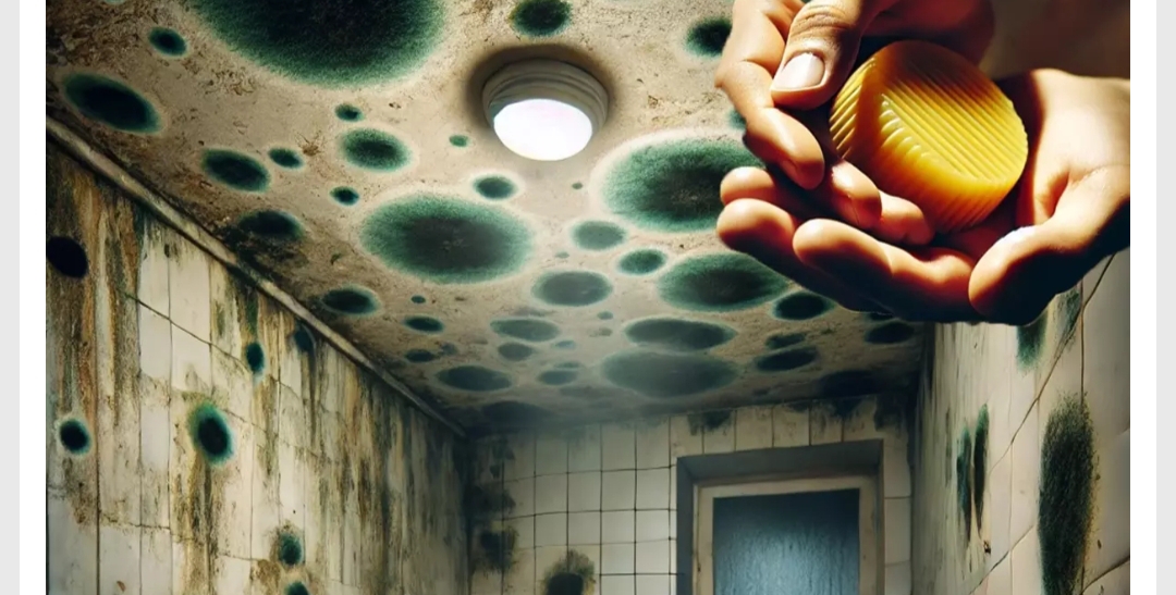 Kış gelince bazı evlerdeki banyo tavanından küf eksik olmuyor. Tavanı