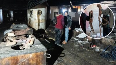 Suriye'de devrilen rejimin Sednaya Hapishanesi'ndeki işkence ve öldürme sistematiği, vahşeti