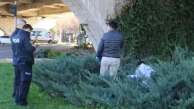 Antalya'nın Muratpaşa ilçesinde, üst geçit altında otlar arasında bir ceset