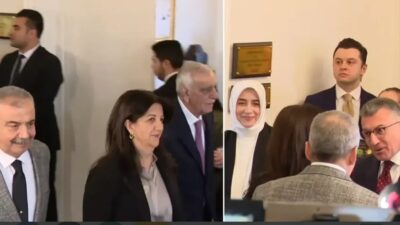 Geçen hafta MHP lideri Devlet Bahçeli'yi ziyaret eden DEM Parti'nin