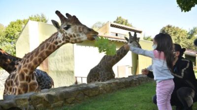 Bursa Büyükşehir Belediyesi, yarıyıl tatiline giren tüm öğrencilere ücretsiz hayvanat