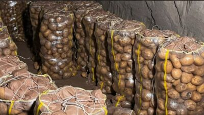 Türkiye'ye son iki ay içerisinde yurt dışından gemilerle Mersin limanına