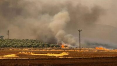 Gaziantep'in Araban ilçesinde buğday ekili yaklaşık 500 dönümlük alanda çıkan