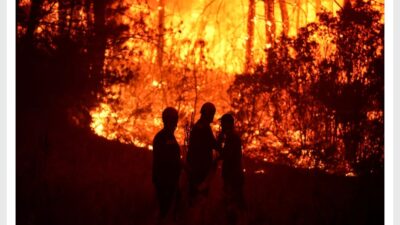 Ödemiş ve Buca'daki orman yangınlarına gece boyunca aralıksız müdahale eden