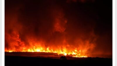 Yurdun farklı bölgelerinde çıkan orman yangınlarıyla mücadele aralıksız sürüyor. Bursa,