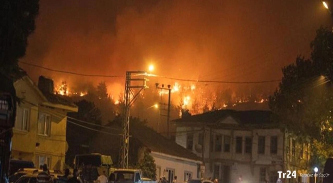 Sakarya'nın Geyve ilçesindeki ormanlık alanda çıkan yangın, Bilecik tarafına sıçradı.