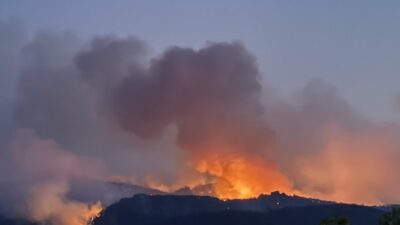 Ülke genelindeki orman yangınlarına müdahale edilirken, Tarım ve Orman Bakanı