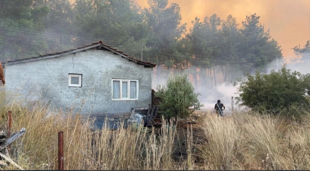 Antalya'nın Aksu, Muratpaşa ve Manavgat ilçelerinde ormanlık alanlarda çıkan yangınlara
