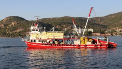 İzmir’de balıkçılar 5 ay süren avlanma yasağının sona ermesiyle bu