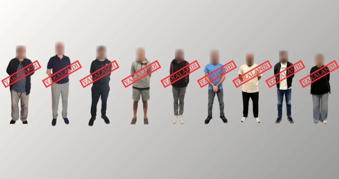 İçişleri Bakanı Ali Yerlikaya, Gürcistan, Almanya, Birleşik Arap Emirlikleri, İsviçre