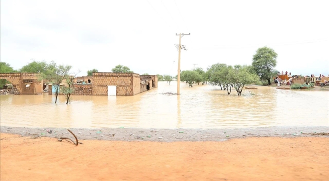 Güney Sudan’da seller nedeniyle on binlerce kişi yerinden oldu Güney Sudan'da etkili olan şiddetli yağışların yol açtığı sel felaketleri,