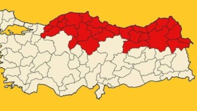 Türkiye tarımını tehdit eden istilacı tür Kahverengi Kokarca (Halyomorpha halys)