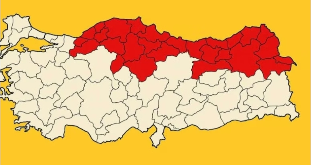 Türkiye genelinde alarm verildi, Karadeniz’i tümden sardı: Büyük istila başladı Türkiye tarımını tehdit eden istilacı tür Kahverengi Kokarca (Halyomorpha halys)