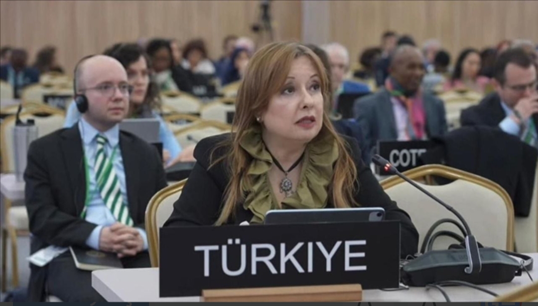 Özbekistan'da süren Birleşmiş Milletler Eğitim, Bilim ve Kültür Örgütü (UNESCO)