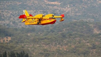 Tarım ve Orman Bakanlığı, Hırvatistan'da bulunan ve dönüş için havalanan