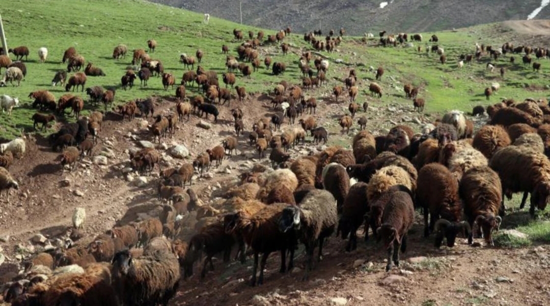 “Halk Elinde Islah Projeleri”ne 2,7 milyar lira destek Tarım ve Orman Bakanlığı, "Halk Elinde Islah Projeleri"ne toplam 2,7