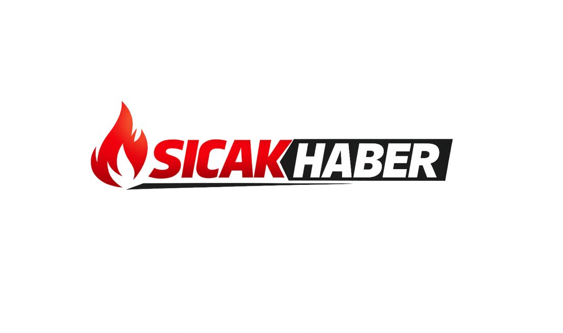 Yetkililer yılbaşı gecesi ile ilgili açıklama yaptı İçişleri Bakanlığı olarak; Başta Emniyet ve Jandarma Teşkilatlarımız, Sahil Güvenlik