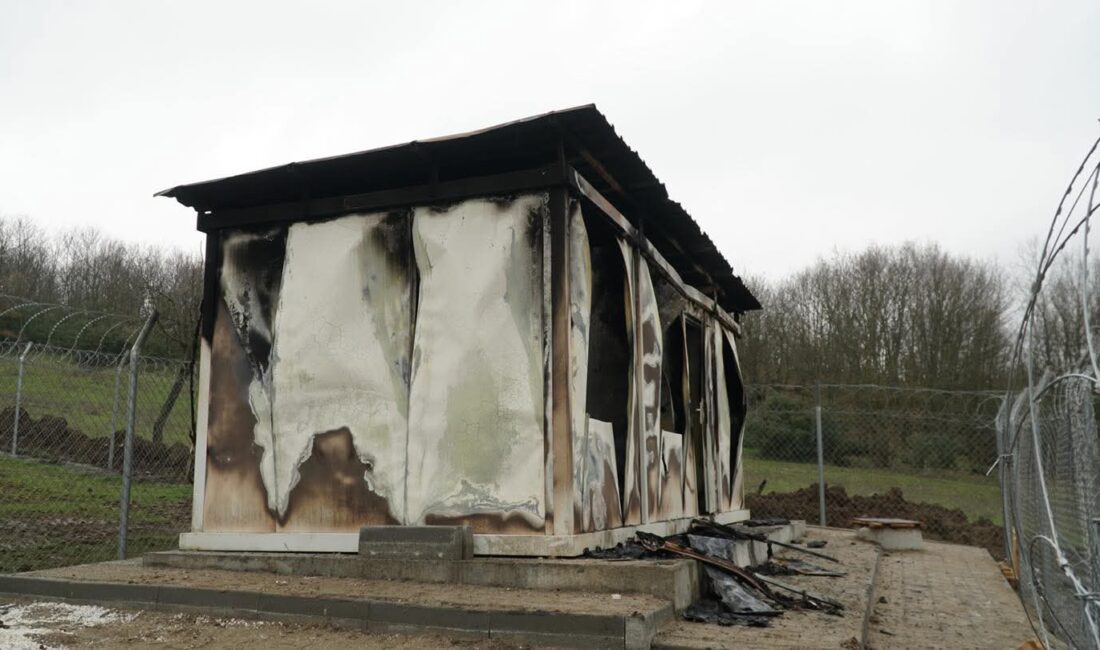 Yenice Mahallesi’nde sokak hayvanlarının tedavi ve bakımı için hizmet veren