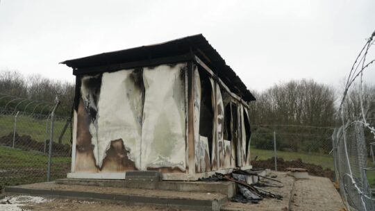 Yenice Mahallesi’nde sokak hayvanlarının tedavi ve bakımı için hizmet veren