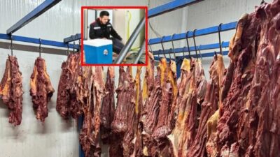 Adana'da baskın yapılan çiftlikte 7 eşek ve 6 at kesilmekten