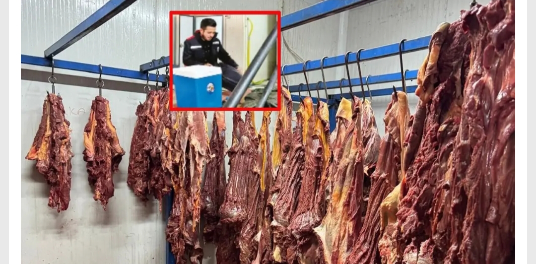 Adana'da baskın yapılan çiftlikte 7 eşek ve 6 at kesilmekten