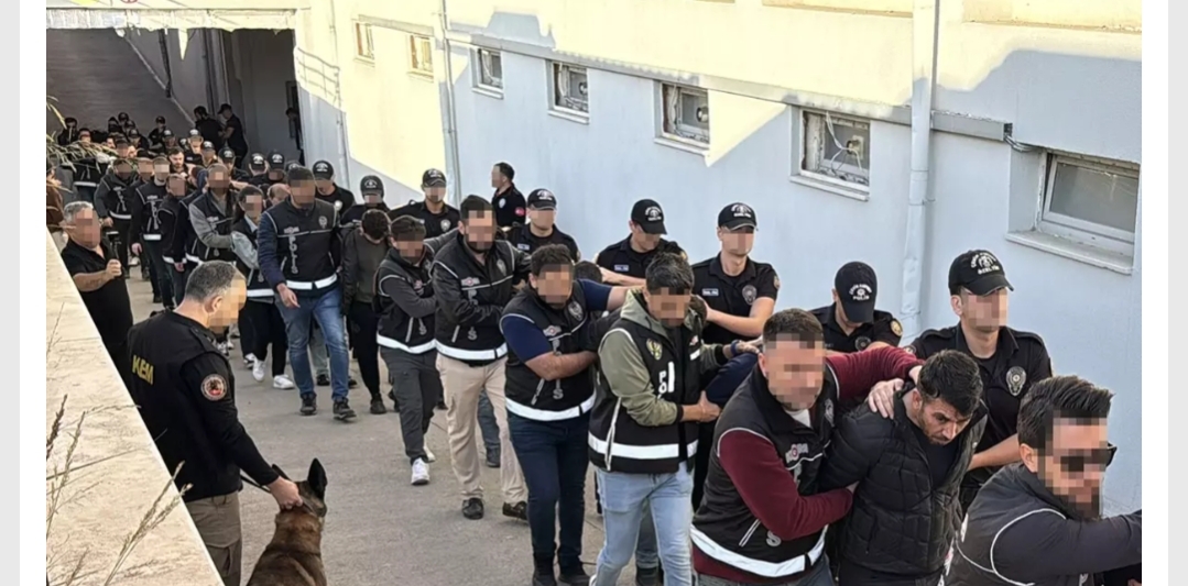 İçişleri Bakanlığı Emniyet Genel Müdürlüğü, Bayğaralar organize suç örgütüne yönelik