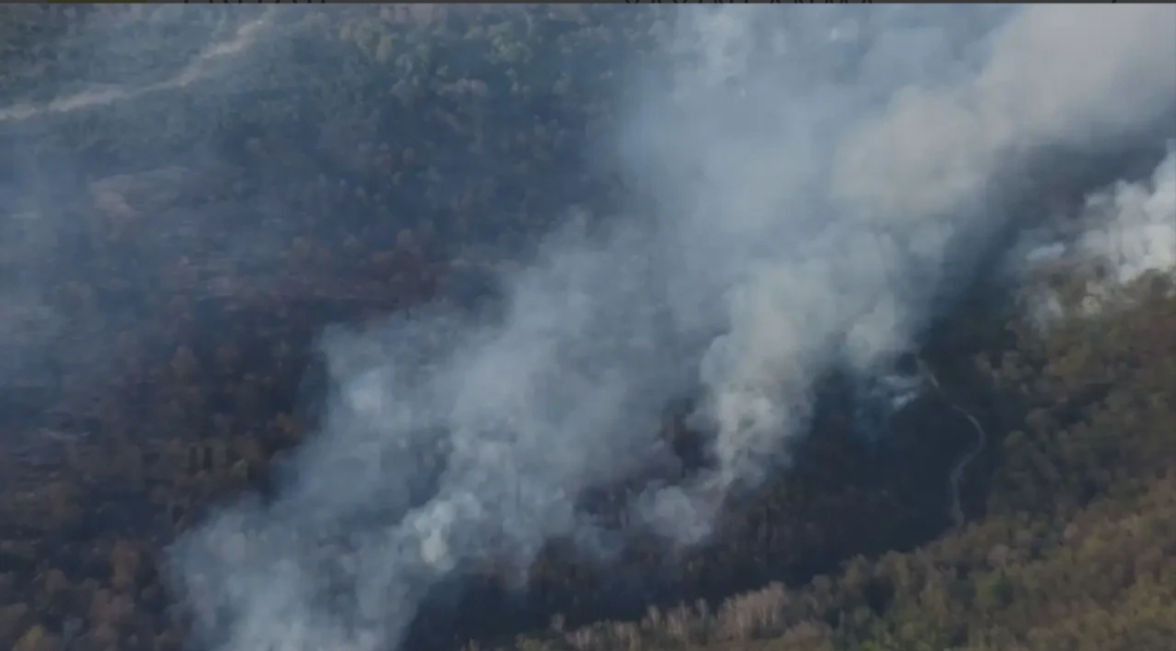 İstanbul Valiliği, Çatalca ve Beykoz’da ormanlık alanlarda çıkan yangınların havadan