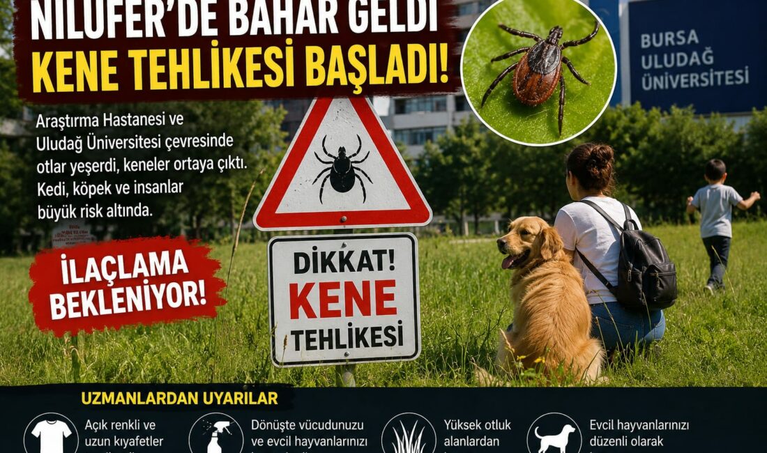 ​Bursa Nilüfer’de üniversite ve Görükle çevresinde artan kene vakaları vatandaşı