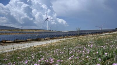 GE Vernova Gas Power Avrupa, Orta Doğu ve Afrika Başkanı