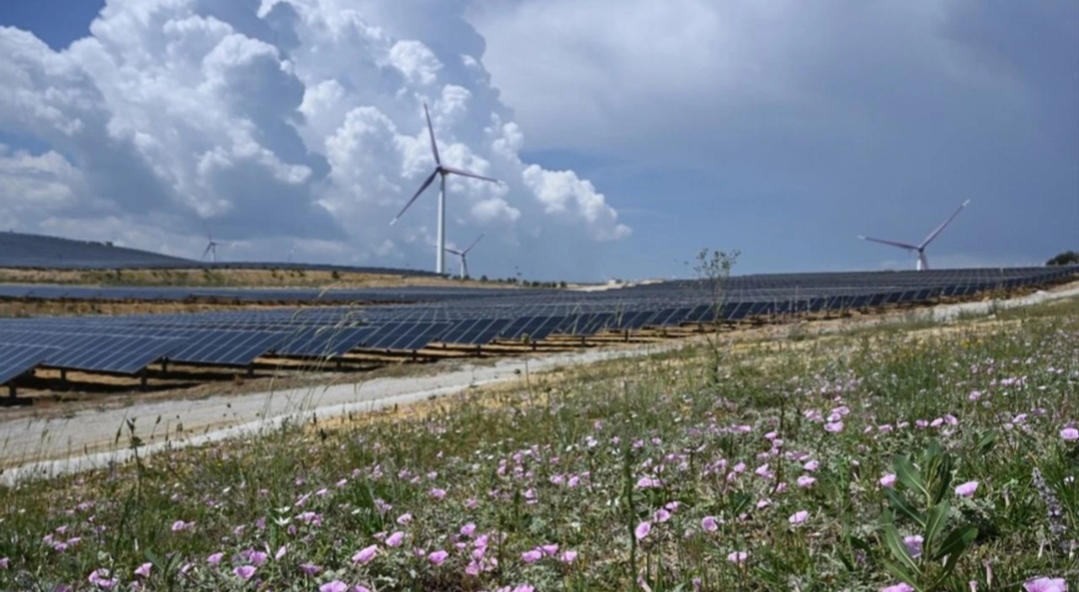 GE Vernova Gas Power Avrupa, Orta Doğu ve Afrika Başkanı
