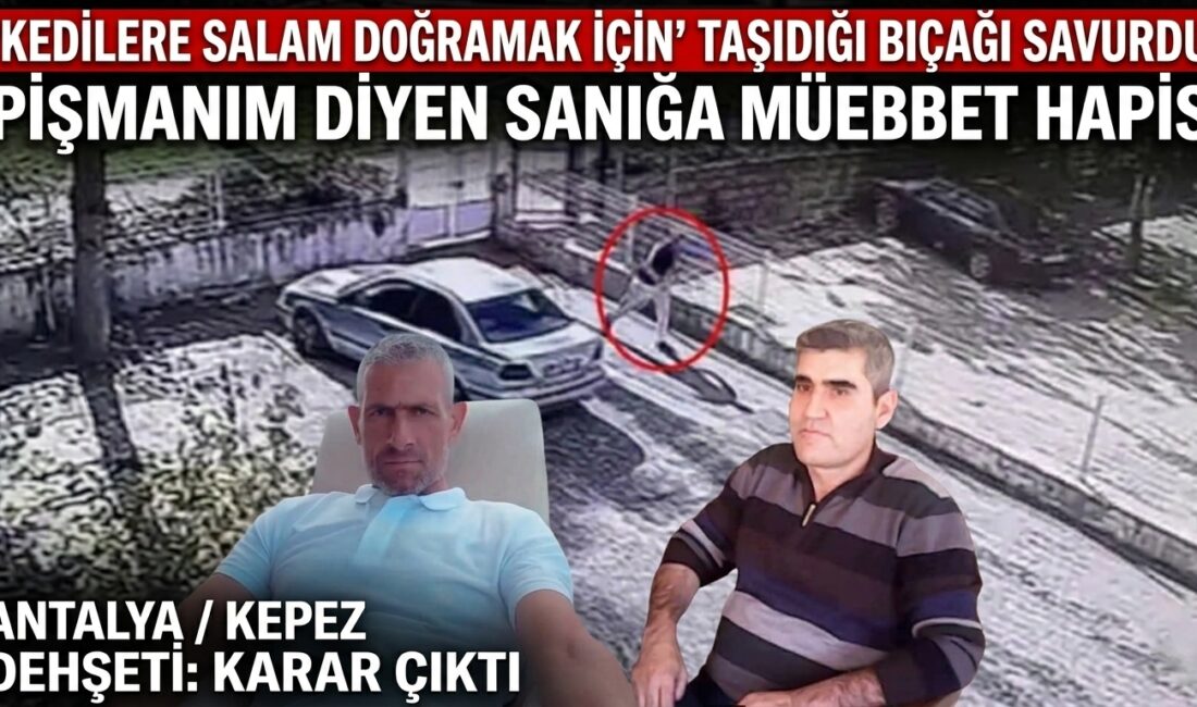"Antalya’da parkta yürüyüş yapan adamı bıçaklayarak öldüren sanığın 'Kedilere salam