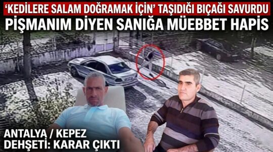 "Antalya’da parkta yürüyüş yapan adamı bıçaklayarak öldüren sanığın 'Kedilere salam