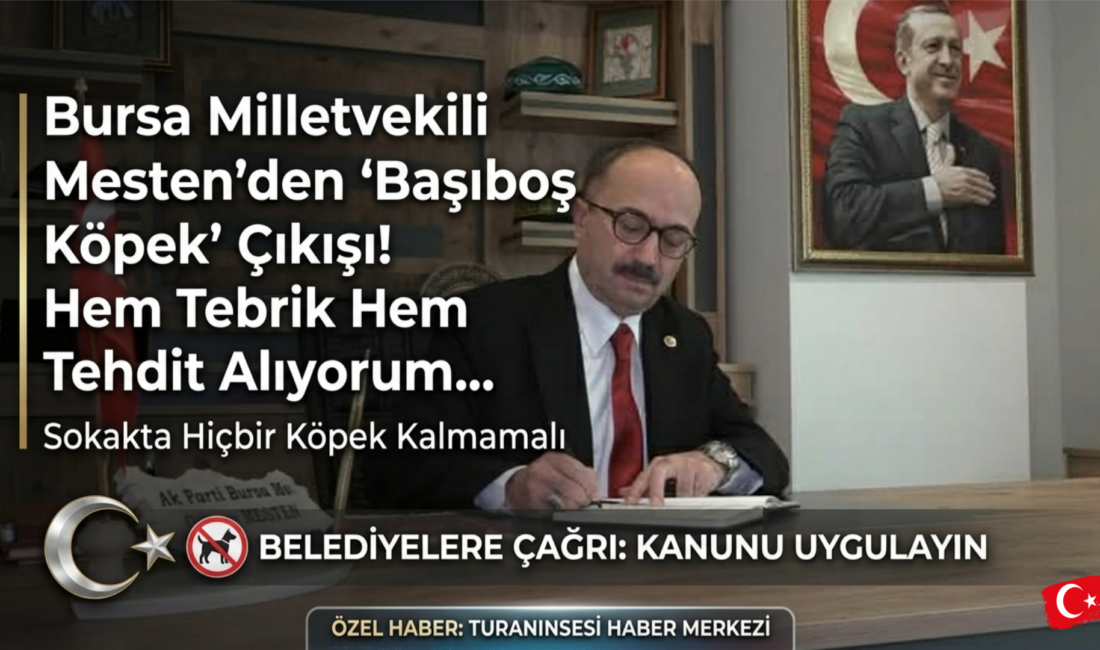 AK Parti Bursa Milletvekili Osman Mesten'den sarsıcı açıklamalar! "Köpekçi terörü"