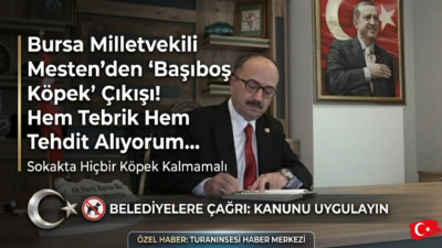 AK Parti Bursa Milletvekili Osman Mesten'den sarsıcı açıklamalar! "Köpekçi terörü"