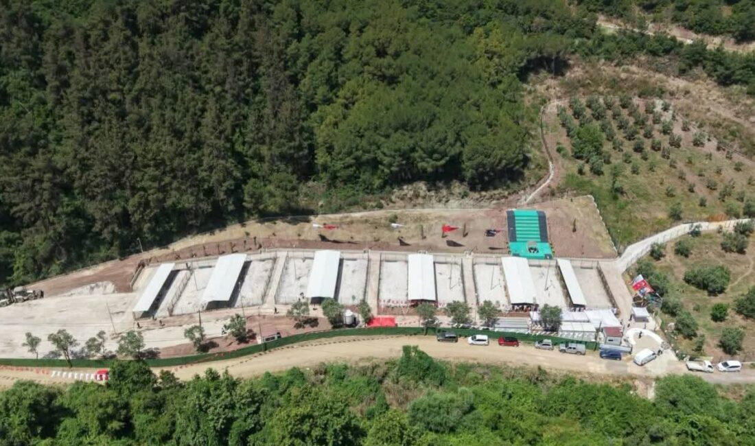 Gemlik Belediyesi ile hayırsever desteğiyle hayata geçirilen Sahipsiz Hayvan Bakımevi,