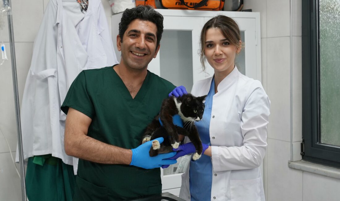 Ödüllü Gürsu Hayvan Bakım ve Rehabilitasyon Merkezi, gerçekleştirdiği başarılı operasyonlar