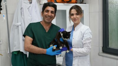Ödüllü Gürsu Hayvan Bakım ve Rehabilitasyon Merkezi, gerçekleştirdiği başarılı operasyonlar