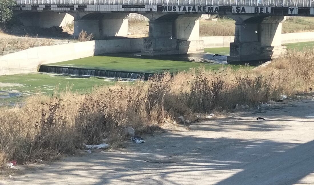 Mustafakemalpaşa ilçe merkezindeki dereyi kaplayan yoğun yosun tabakası ve bakımsız