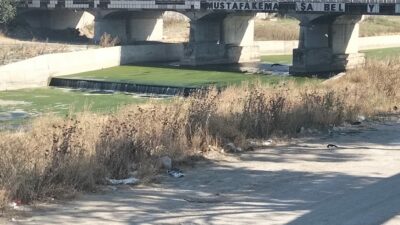 Mustafakemalpaşa ilçe merkezindeki dereyi kaplayan yoğun yosun tabakası ve bakımsız