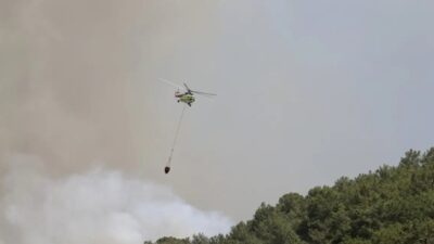 Afyonkarahisar, Muğla'nın Fethiye ilçesi ve Antalya'nın Kepez ilçesinde çıkan orman