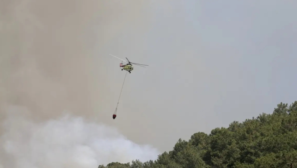 Afyonkarahisar, Muğla'nın Fethiye ilçesi ve Antalya'nın Kepez ilçesinde çıkan orman