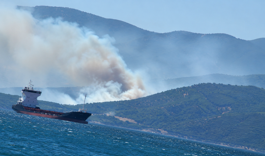 Yalova'nın Armutlu ilçesine bağlı Kapaklı köyü hattında çıkan orman yangınına