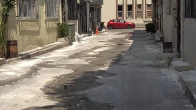 Yıldırım’da bir apartmanda çok sayıda kedi ve köpeğin bakımsız koşullarda