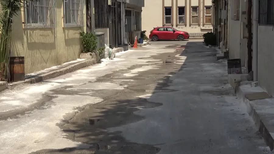 Yıldırım’da bir apartmanda çok sayıda kedi ve köpeğin bakımsız koşullarda
