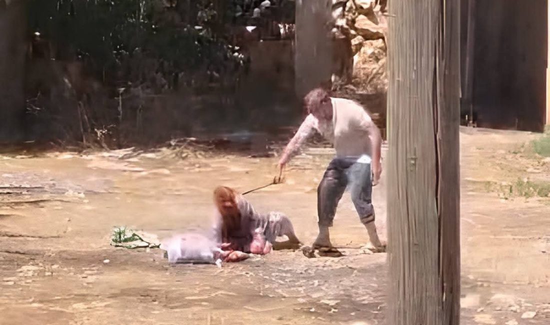 Şanlıurfa’nın Bozova ilçesinde 85 yaşındaki İslim Yaprak, oğlu tarafından sopa