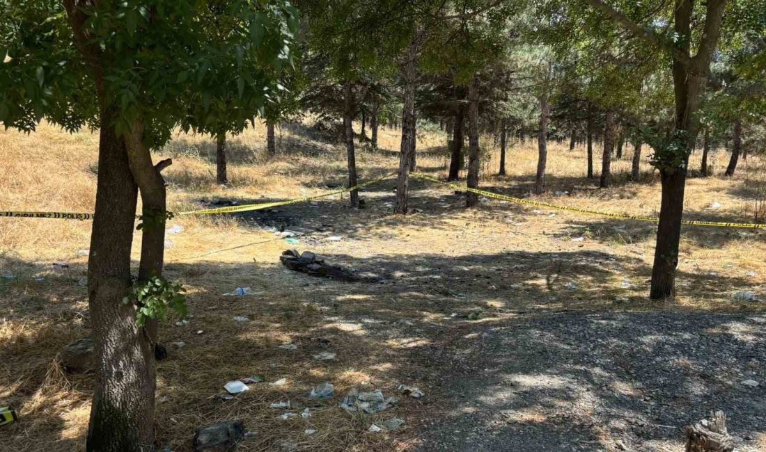Ankara'da kırsal alanda ölü bulunan 41 yaşındaki Gülay Akgün Mutlu'nun,