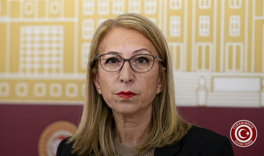 Yeni Parti Milletvekili Süreyya Öneş Derici, pazartesi günü yapılacak çerçeve
