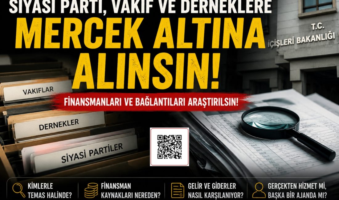 Yeni kurulan siyasi partiler, vakıflar ve derneklerin faaliyetleri, finansman kaynakları
