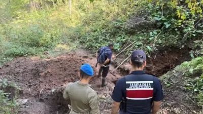 Artvin’de yaklaşık 30 yıldır kendisinden haber alınamayan Nigar Bilgin’in cinayete
